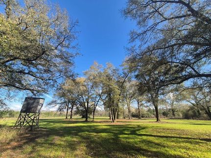Hunting Property for sale in Clarke County, Mississippi