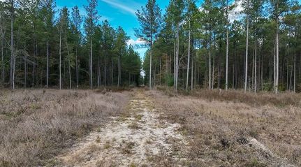 Farm and Ranch for sale in Smith County, Mississippi