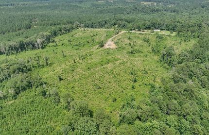 Timberland Property for sale in Wayne County, Mississippi