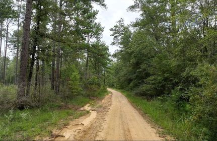Timberland Property for sale in Jones County, Mississippi