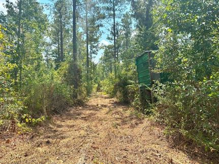 Undeveloped Land for sale in Jones County, Mississippi