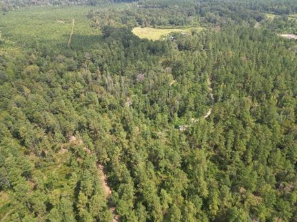 Undeveloped Land for sale in Jones County, Mississippi
