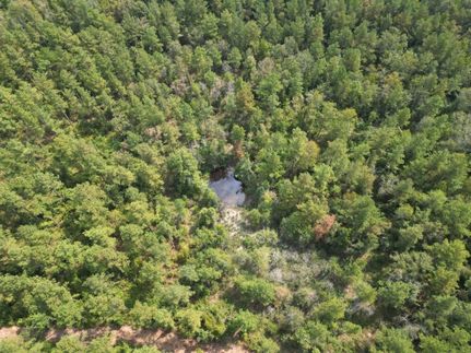 Timberland Property for sale in Jones County, Mississippi