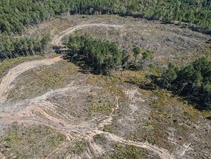 Undeveloped Land in Jasper County, Mississippi