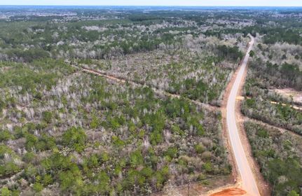 Undeveloped Land in Jefferson Davis County, Mississippi