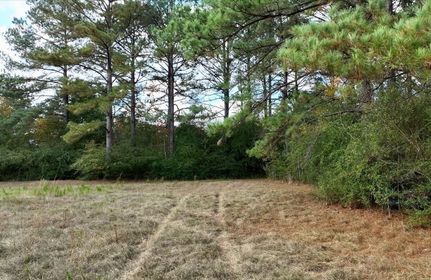Timberland Property in Jones County, Mississippi