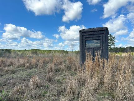 Timberland Property in Jasper County, Mississippi