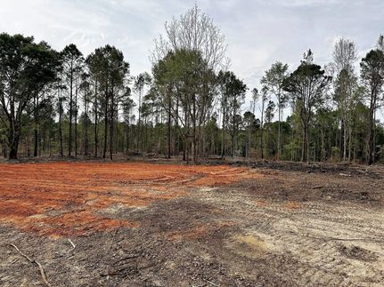 Undeveloped Land in Jones County, Mississippi