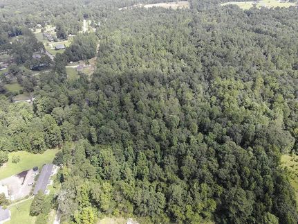 Undeveloped Land in Wayne County, Mississippi