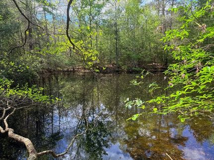 Farm and Ranch for sale in Wayne County, Mississippi