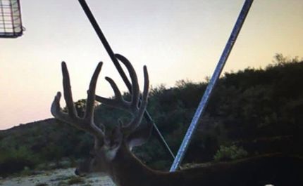 Land for sale in Val Verde County, Texas