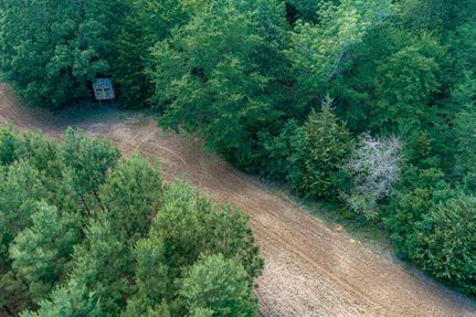 Timberland Property for sale in Anderson County, Texas