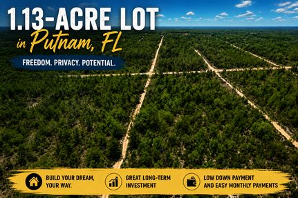 Undeveloped Land for sale in Putnam County, Florida
