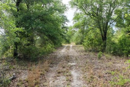 Recreational Property for sale in Madison County, Florida
