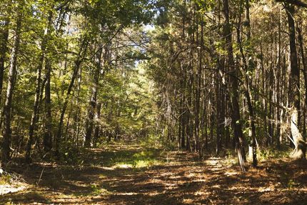 Land for sale in Hempstead County, Arkansas