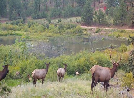 Land for sale in Teller County, Colorado