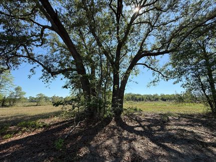 Farm and Ranch for sale in Liberty County, Florida