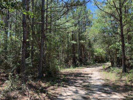 Timberland Property for sale in Washington County, Florida