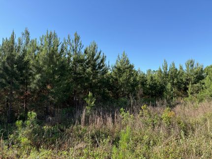 Timberland Property for sale in Jackson County, Florida