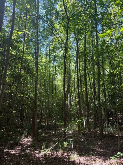 Farm and Ranch for sale in Mecklenburg County, Virginia