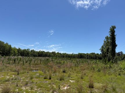 Farm and Ranch for sale in Washington County, Florida
