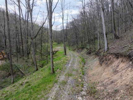 Land for sale in Preston County, West Virginia