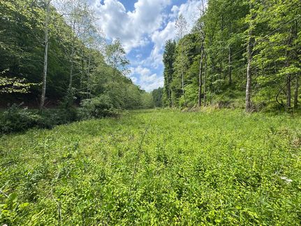 Recreational Property for sale in Calhoun County, West Virginia