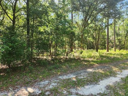 Undeveloped Land for sale in Hamilton County, Florida