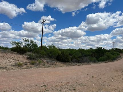 Undeveloped Land for sale in Kent County, Texas