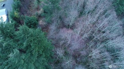Hunting Property for sale in Lewis County, Washington