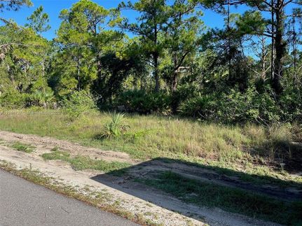 Farm and Ranch for sale in Lee County, Florida