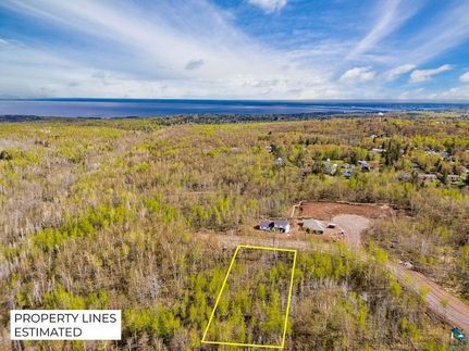 Farm and Ranch for sale in Saint Louis County, Minnesota