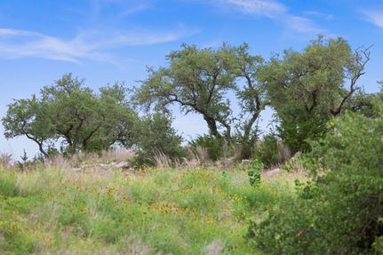 Timberland Property for sale in Blanco County, Texas