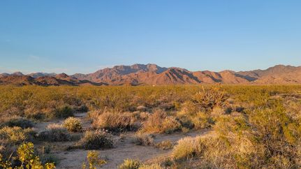 Farm and Ranch in Mohave County, Arizona