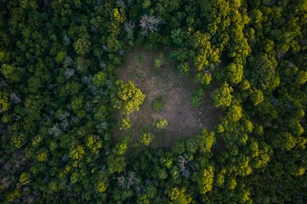 Land for sale in Wilson County, Tennessee