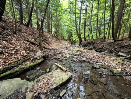 Recreational Property for sale in Steuben County, New York