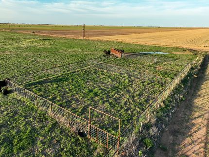 Timberland Property for sale in Haskell County, Texas