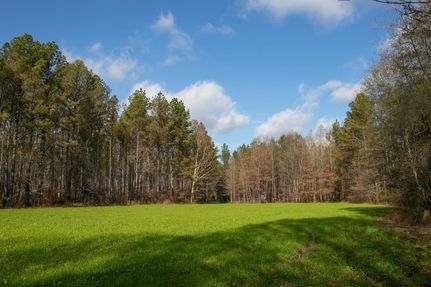 Timberland Property in Choctaw County, Mississippi