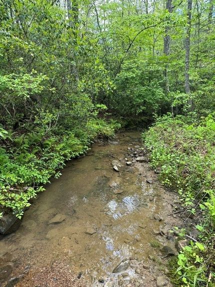 Farm and Ranch for sale in Morgan County, Tennessee