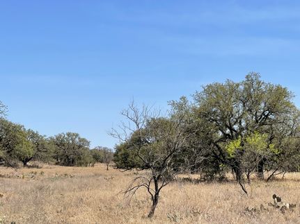 Land for sale in McCulloch County, Texas