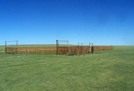 Land for sale in Union County, New Mexico