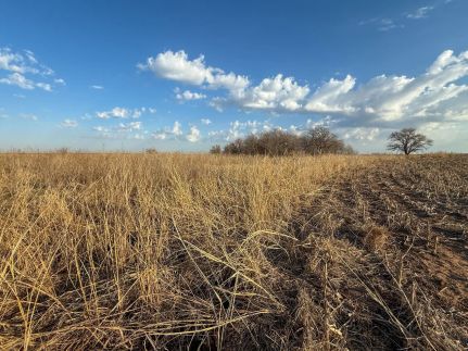 Land for sale in Grant County, Oklahoma
