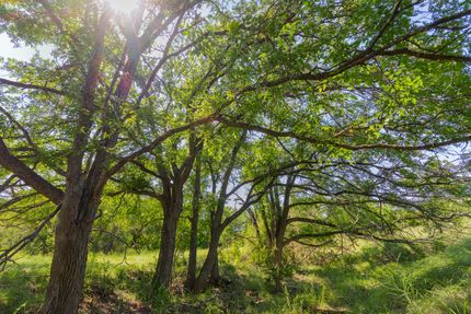 Farm and Ranch for sale in Coryell County, Texas