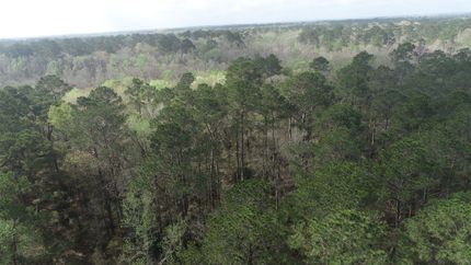 Land for sale in Liberty County, Texas