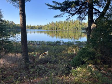 Land for sale in Delta County, Michigan