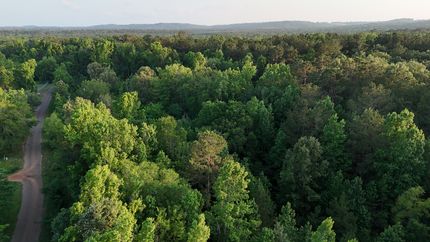 Undeveloped Land for sale in Cherokee County, Texas