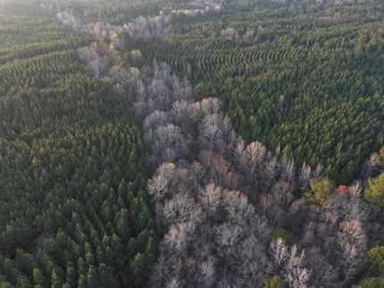 Land in Heard County, Georgia