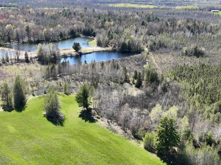 Farm and Ranch for sale in Menominee County, Michigan