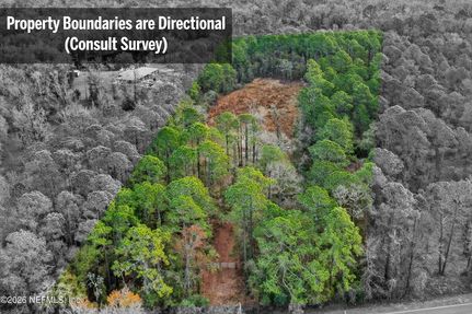 Farm and Ranch for sale in Saint Johns County, Florida