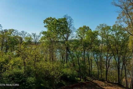 Timberland Property for sale in Roane County, Tennessee